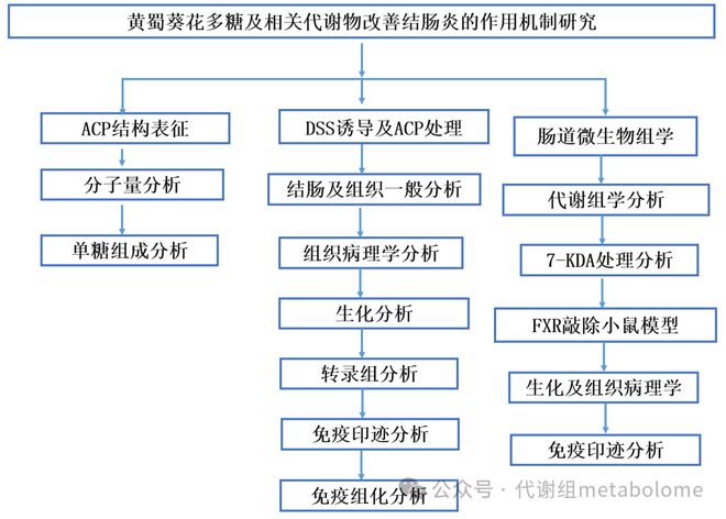 江苏省中医院： 黄蜀葵花多糖及相关代谢物通过调节肠道菌群和FXRSTAT3信号通太阳成集团tyc45668cn路改善结肠炎